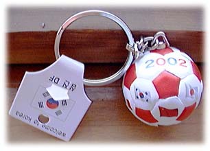 2002 FIFA WorldCup Korea Japan ؍ {[L[z_[